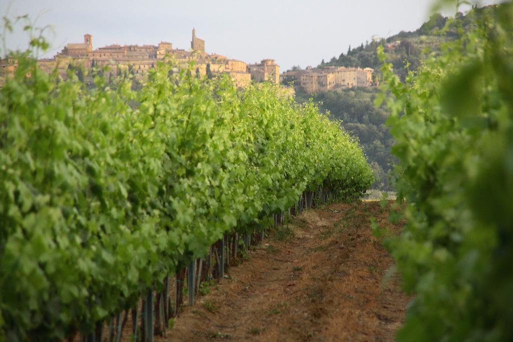 Tenuta Lamborghini Golf & Bed & Breakfast *